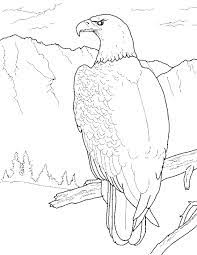 Printable bald eagle coloring pages coloringme com page head for kids elephant ellis. Free Printable Bald Eagle Coloring Pages For Kids
