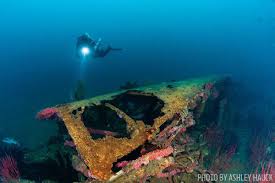 Best Wreck Diving In The United States United States Diving Scuba Diving