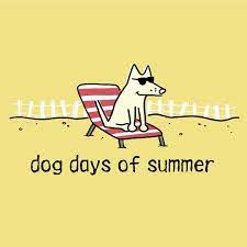 Check spelling or type a new query. Dog Days Of Summer Dog Words Cute Puns Dogs