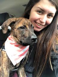 Photoshoot in Rosie's new spring dress 🌸🌻🌷🌺🌼
