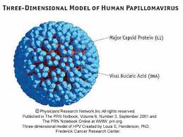 Image result for human papillomavirus symptoms