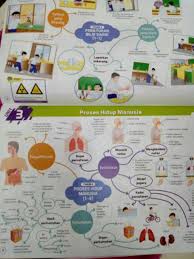 See more ideas about peta, crochet granny square tutorial, islamic kids activities. Stock M Buku Rujukan Upsr Peta Minda Genius Sains Tahun 4 6 Shopee Malaysia