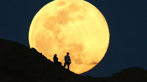 April Pink Moon and Lyrid Meteor Shower: What to Expect in Spring 2026
