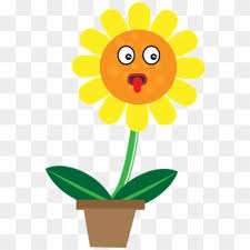 Bunga tumbuhan ini sangat khas: Sun Flower Character Animation Cute Gambar Bunga Matahari Animasi Hd Png Download 469x720 6070749 Pngfind