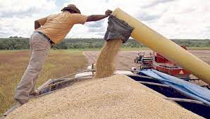 Infocampo – commodities