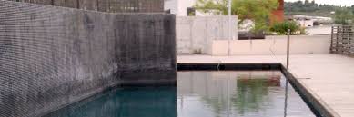Según la prensa local, el hongo negro provocó cientos de muertes en pocos días. Como Utilizar Agua De Pozo Para Piscina Truco Para Purificarla