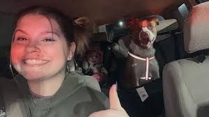 Wilkes County NC Lost and Found Pets