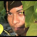 Work by Rihanna (Arrangement)