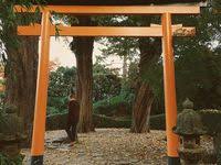 Setagaya Park In Wien Japanischer Garten Japanischer Garten Wien Wien