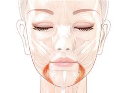 как сохранить красоту лица и скинуть 5 10 лет Za Opushennye Ugolki Gub Kotorye Pridayut Licu Unyloe Vyrazhenie Otvechaet Myshca Opuskayushaya Ugol Rta Inache Eshe Eyo Nazyvayut Myshca P Face Face Yoga Face Massage