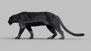 Panther Maya 3d Model Ma Mb B199caf9 6432 4902 Bb7c C1309240d6c4 Jpg 1280 720 Panther 3d Model Black Panther
