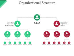 Organizational Structure Ppt Powerpoint Presentation Show