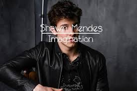Makna Dan Terjemahan Lagu Imagination Shawn Mendes Bros Lagu makna dan terjemahan lagu imagination
