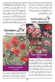 Pin On Plants