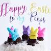 Happy easter wishes and messages: Https Encrypted Tbn0 Gstatic Com Images Q Tbn And9gcru8cnz Offg8ndlale1wph0h3jurgqqi2wrv58j2spoapm3mnt Usqp Cau