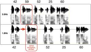 Highly compressed speech in catalan or in spanish can. Acoustically Driven Cortical D Oscillations Underpin Prosodic Chunking Eneuro