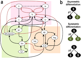 Is the cancer gone forever? Plos One Exploring Immuno Regulatory Mechanisms In The Tumor Microenvironment Model And Design Of Protocols For Cancer Remission