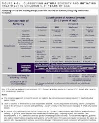 Personal best peak flow p difficulty breathing, coughing, wheezing not helped with medications p trouble walking or talking due to asthma symptoms p not responding to quick relief medication or p peak flow is. Https Www Bcbsil Com Pdf Clinical Asthma Cpg Pdf