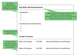 alternative cv formats  functional or