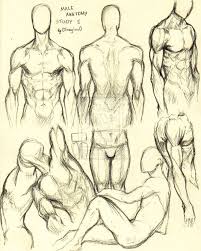 15% off with code januarytreat. Male Anatomy Study 1 By 0imaginc0 On Deviantart Human Body Drawing Anatomy Sketches Deviantart Drawings