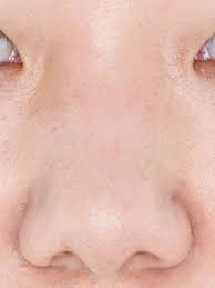 ４種類一覧 実例でわかる どんな鼻の形にも対応するプロのメイク術まとめ 美的 com メイク プロ 鼻 メイク メイク