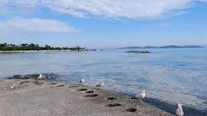 Underwater laser scans have revealed new details of how sea creatures called giant larvaceans feed themselves by flapping a filmy tail inside a cloud of snot. Mucilage Stock Video Footage 4k And Hd Video Clips Shutterstock