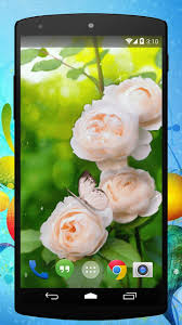 Download live falling red rose petals keyboard 10001007 version latest update free app offline apk. Butterfly Rose Live Wallpaper For Android Apk Download