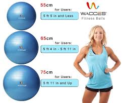 Wacces Professional Exercise Stability And Yoga Ball For