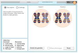 Question how is titration used to determine an unknown. New Gizmo Meiosis Explorelearning News