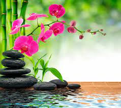 Account Suspended Zen Garden Spa Wallpaper Feng Shui Garden