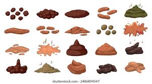 Image result for thin ribbon stools human poop