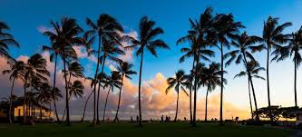 We did not find results for: Ultimate Guide To The Best Kauai Sunset Locations Hawaii Travel With Kids