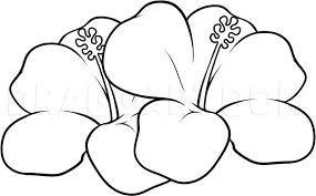We continue offers you this flower and animal coloring page to color. How To Draw Hawaiian Flowers Step By Step Drawing Guide By Dawn Dragoart Com