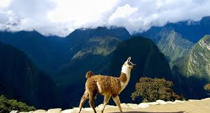 Peru, ecuador and even colombia each have their charmes if you can find work local but better international. Ecuador Peru Cruises Chile Luxury Cruise To Ecuador Peru Ponant