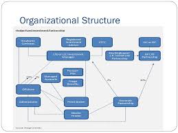 Risk Regulation And Organizational Structure Hedge Fund