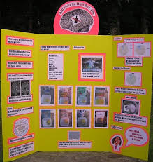 Is Alcohol Bad For You Science Fair Project Super Science Fair Projects Science Fair Projects Science Fair Fair Projects