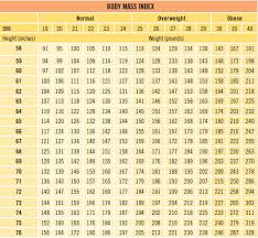 19 Paradigmatic Muscle Mass Index Chart