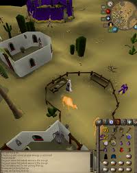 Equip your camulet and speak to any camel around al kharid and ask him for his dung, you will close your eyes and the dung will appear. This Camel Just Took A Shit In Its Own Food Trough 2007scape