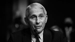 As the public sought answers to the worsening dr fauci suggested she tweet: Watch Dr Anthony Fauci On Becoming An Activist Within Government The New Yorker Festival The New Yorker