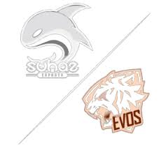 • uniform illumination across the entire field of view for superb image quality Evos Detailed Viewers Stats Esports Charts