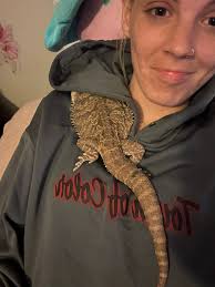 Is my budgie's beak changing color?