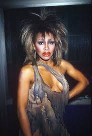 Tina turner in the nude - stvincent.nupark.com