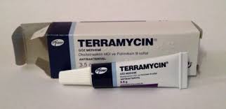 Terramycin Eye Ophthalmic Ointment For Dogs Cats Birds Companion Pets 3 5 G Pets 3 Dog Cat Ointment