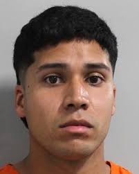 Bok Academy North Principal Arrested for Theft in Polk County