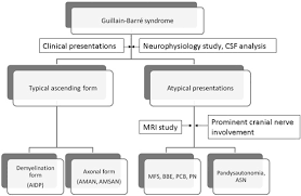 For example, for approximately nine decades from the first report of gbs, it was considered to have a spinal cord origin. Clinical Variants Of Guillain Barre Syndrome In Children Pediatric Neurology