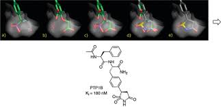 Structure-Based Design and Discovery of Protein Tyrosine Phosphatase  Inhibitors Incorporating Novel Isothiazolidinone Heterocyclic  Phosphotyrosine Mimetics