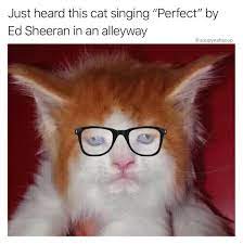 As glorious as ed sheeran's face is, there's one thing that can top it. Ed Sheeran Cat Meme Album On Imgur