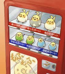 Pin Von Brittany Auf Monos Animales Caricaturas Vogelzubehor Kawaii Zeichnungen Wellensittich