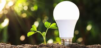 Reimagining Illumination: The Environmental and Personal Benefits of L –  VIRIBRIGHT®