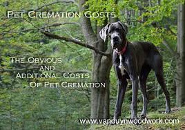 Dignity pet crematorium is a specialist individual pet cremation service in hampshire offering a dignified & caring option for pet owners. Pet Cremation Costs The Additonal Costs Not Covered In Basic Packages